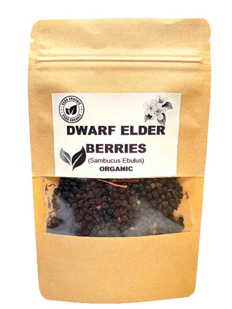 Organic DWARF ELDER BERRIES | Sambucus Ebulus | Elder berries Tea | Herbal Tea | Dried Berries | Organic Herbs | Vitamin | Herba | Tea