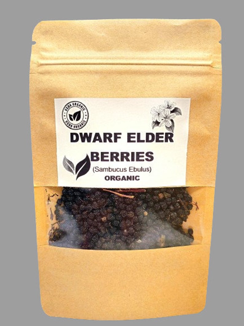 Organic DWARF ELDER BERRIES | Sambucus Ebulus | Elder berries Tea | Herbal Tea | Dried Berries | Organic Herbs | Vitamin | Herba | Tea