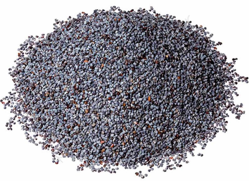 BLUE POPPY SEEDS | Papaver somniferum | Whole Oily Seeds | Dietary Fibre | | Tea | Sprouting | Papaver | Poppyseed | Natural Seeds